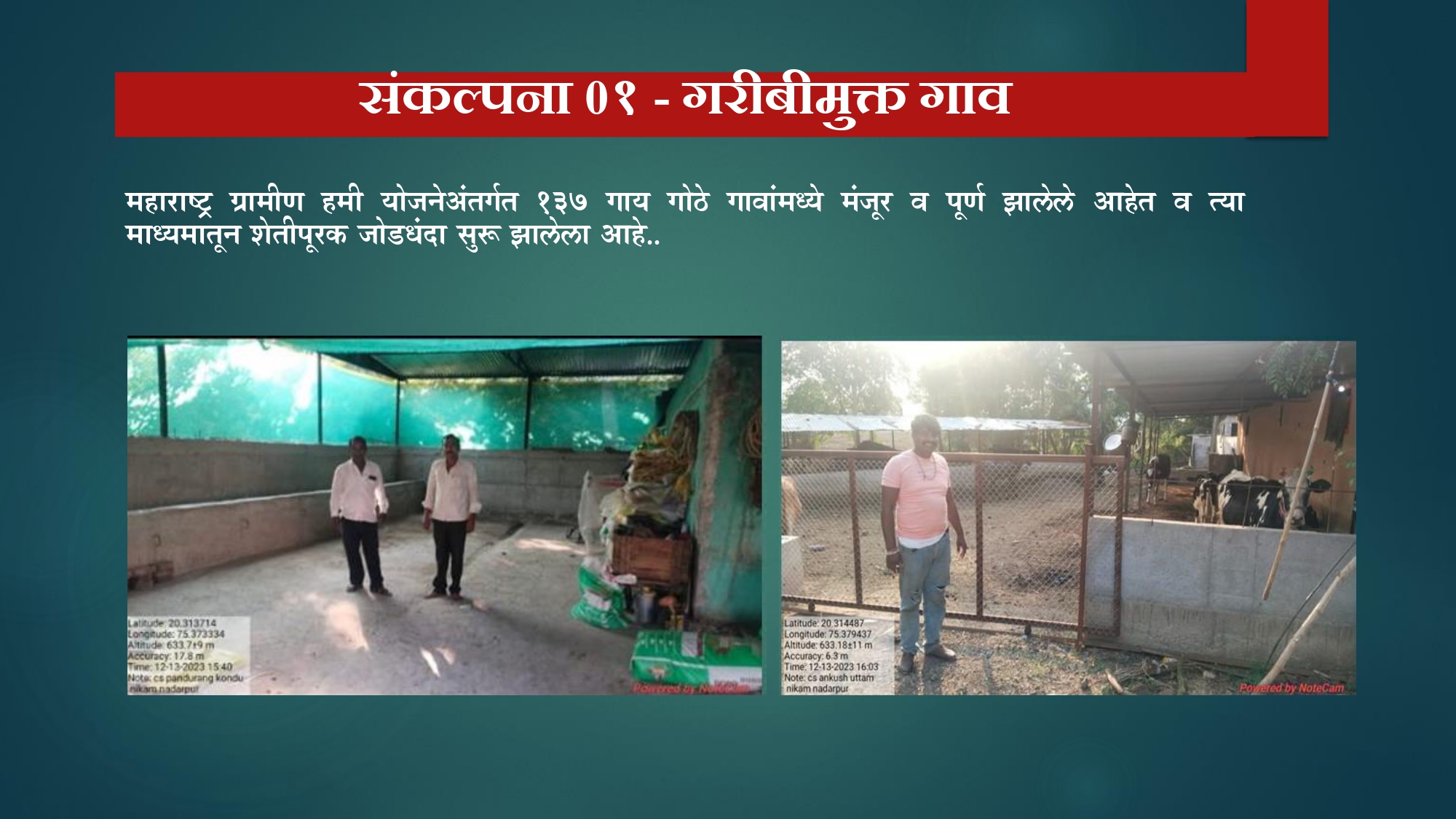 गाय गोठा